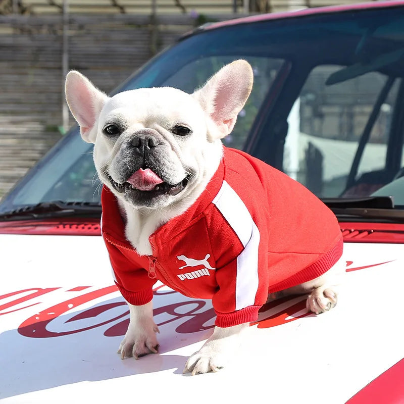 Baseball Pullover Dog Hoodie - Winter Jacket for Small & Medium Dogs, French Bulldog Chihuahua Pug Puppy Coat